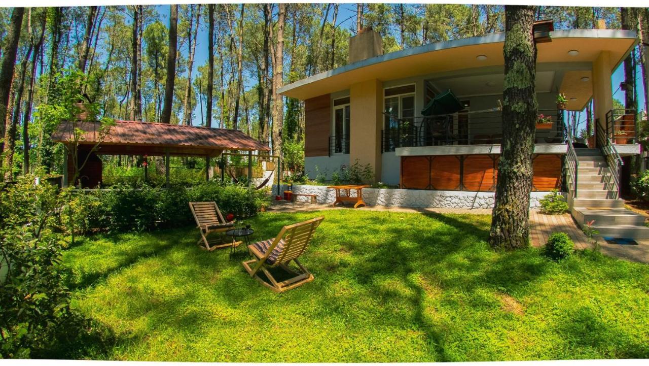 Shekvetili Big Wonder Villa Exterior photo