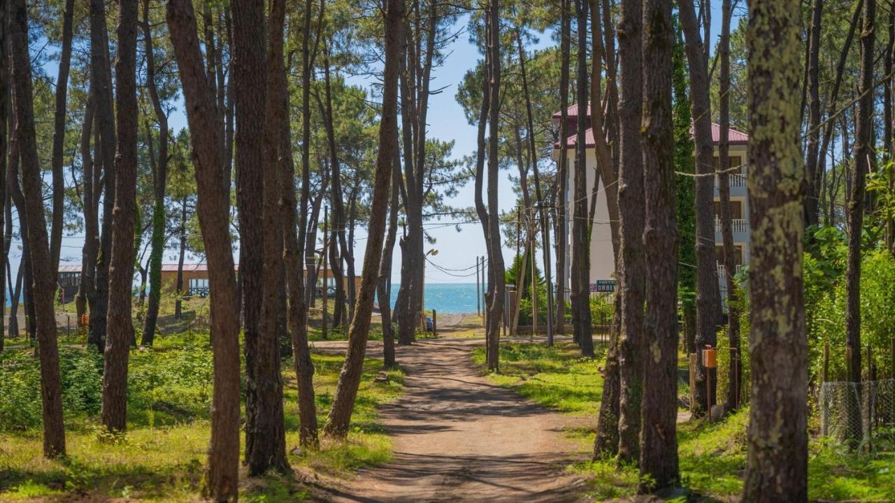 Shekvetili Big Wonder Villa Exterior photo