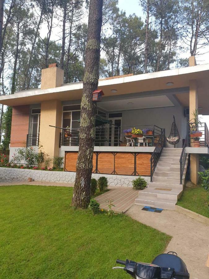 Shekvetili Big Wonder Villa Exterior photo